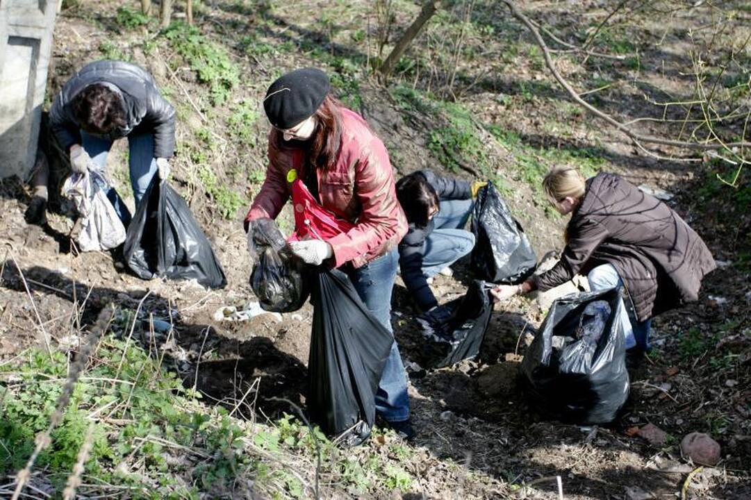Viduržemio jūros regiono valstybės pasiryžusios jungtis “Darom”
