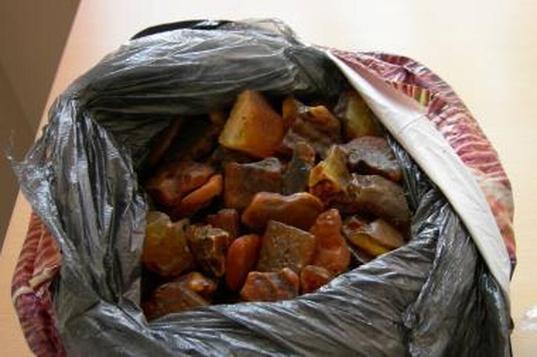 Daugiau nei 7 kilogramai kontrabandinio gintaro liko muitinėje 