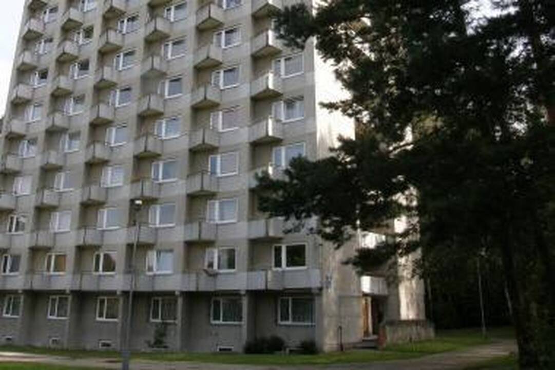 R.Baškienė siūlo nuteistųjų sąskaita renovuoti studentų bendrabučius
