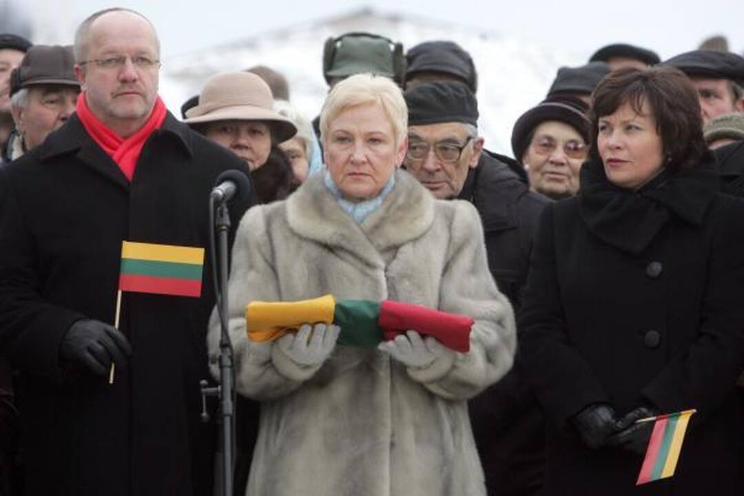 I.Degutienė: linkiu, kad šalies vėliava žymėtų ne tik istorines datas