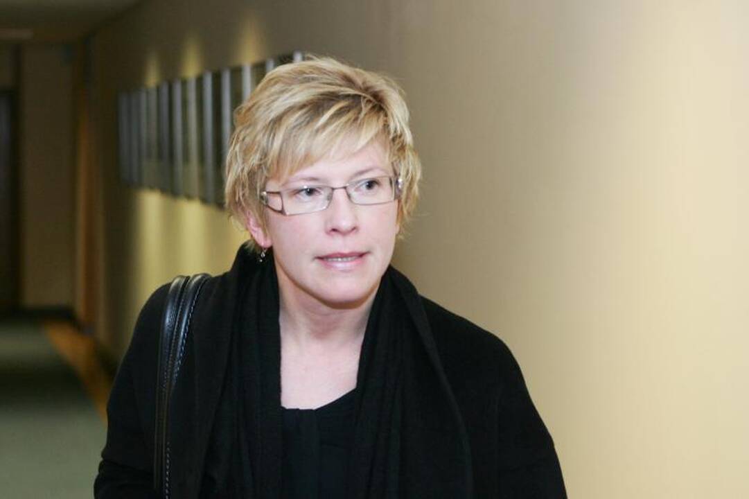 I.Šimonytė: po reformos biudžetinių įstaigų išlaidos tirps 15-20 proc.