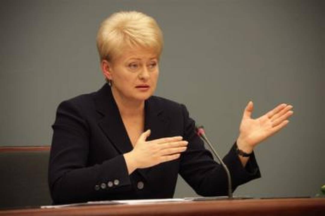 Prezidentė dėl CŽV kalėjimo Lietuvoje turi "netiesioginių įtarimų" (papildyta)