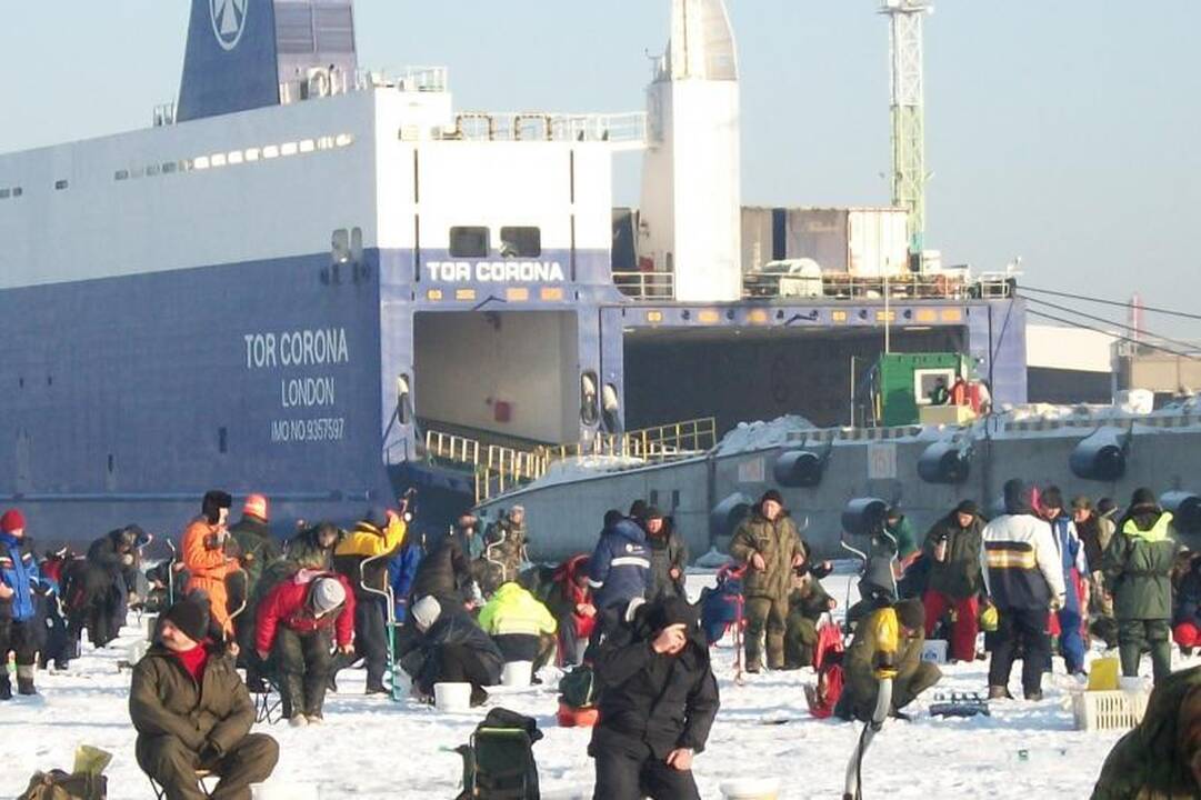 Lietuvos tinklininkus lydi sėkmė čempionate Vilniuje