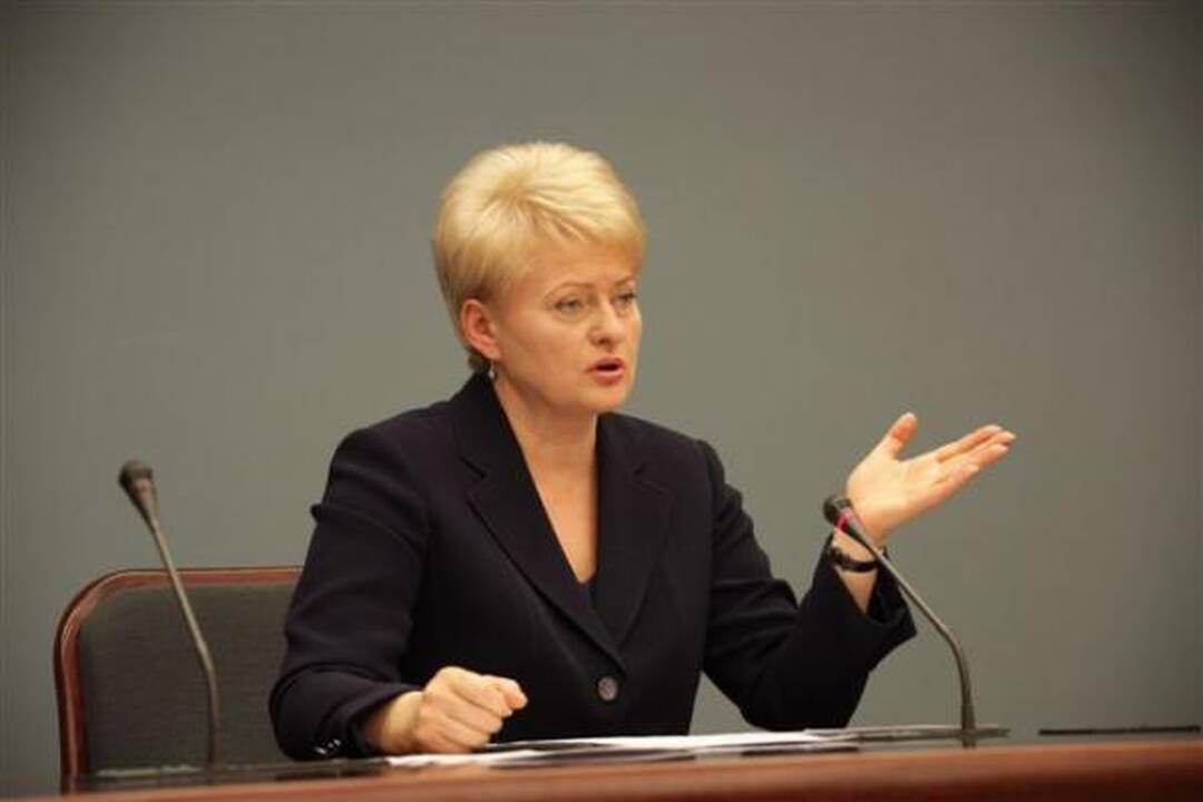 Prezidentė dėl CŽV kalėjimo Lietuvoje turi "netiesioginių įtarimų" (papildyta)