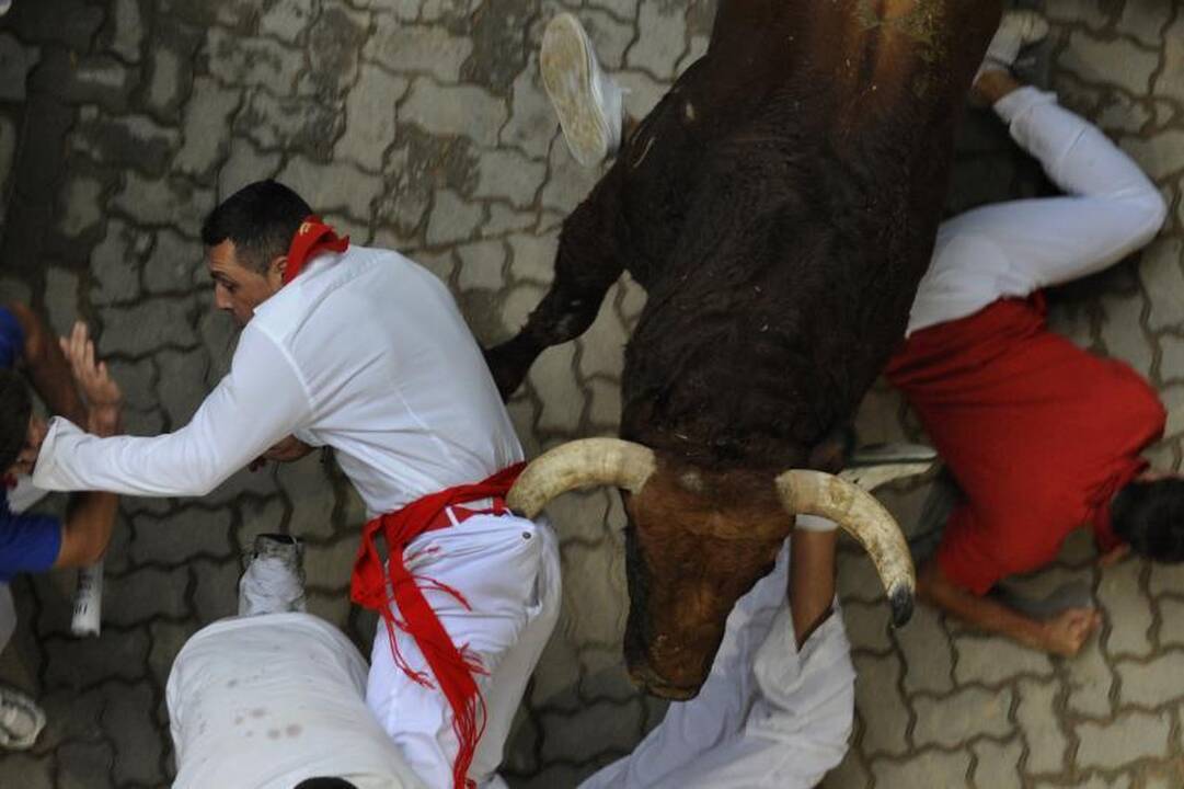 Pamplonoje priešpaskutinės bulių bėgtynes: nukentėjo septyni žmonės