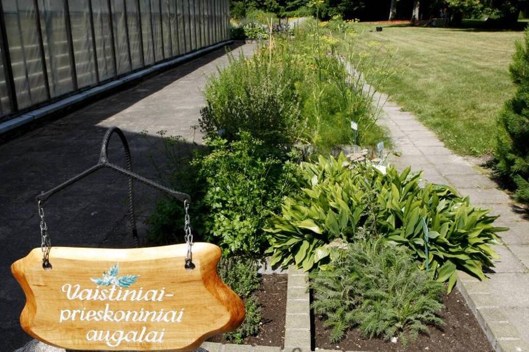 Botanikos parkui Palangoje ir kempingui Nemirsetoje – ministerijos dėmesys