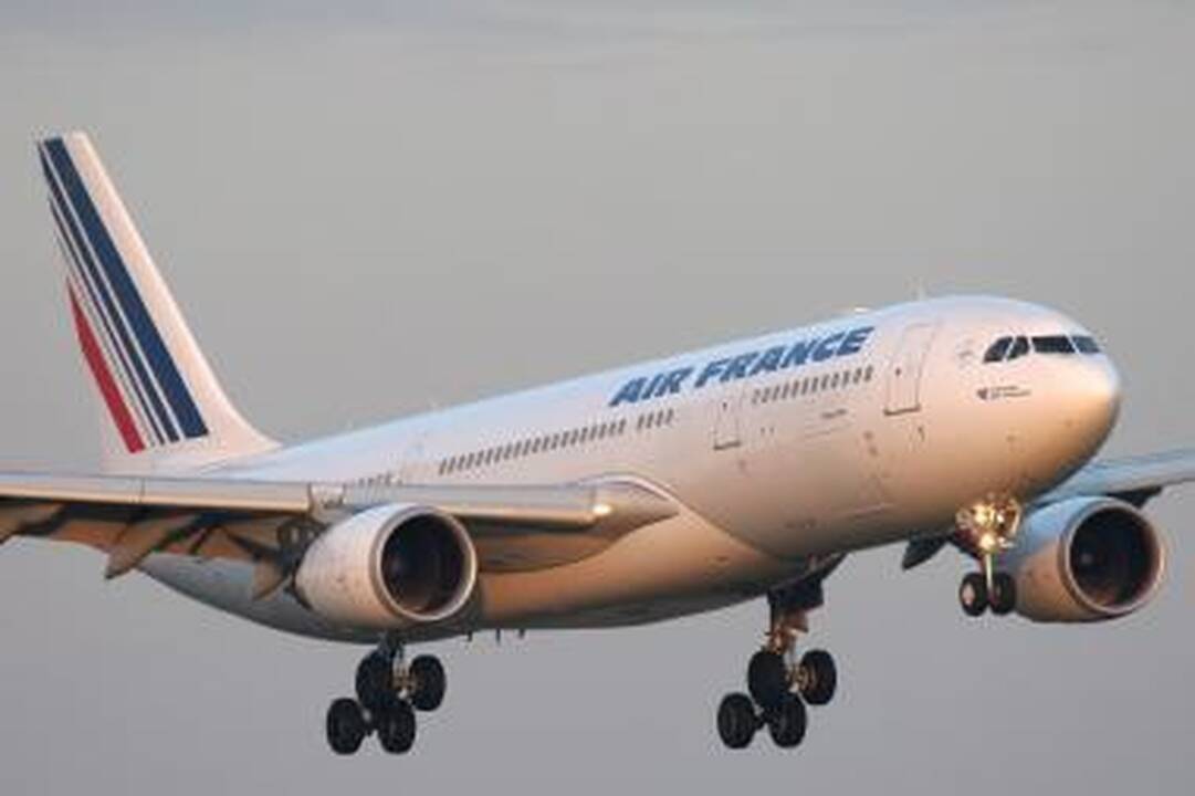 Atpažinti „Air France“ lėktuvo katastrofos aukas padės Interpolas
