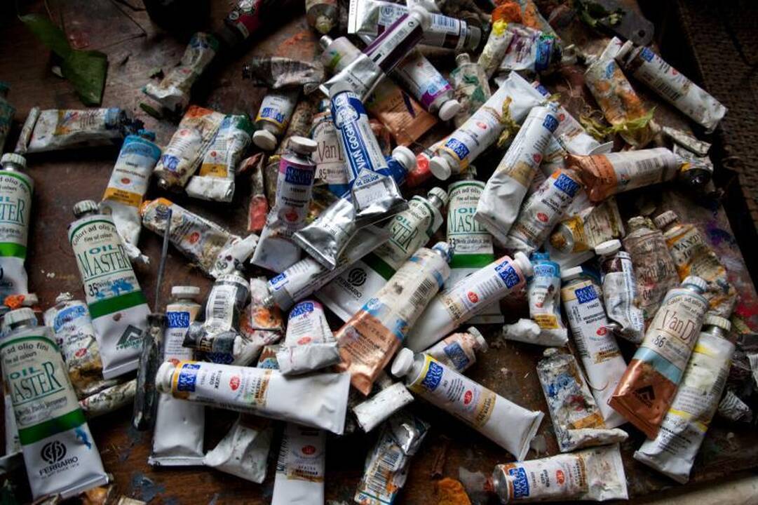 Šįmet pleneras „Soutine dienos 2011”  skirtas garsiam ekspresionistui
