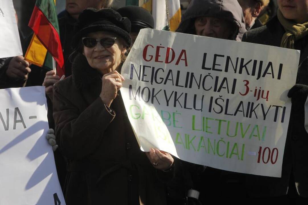 Patriotiniame mitinge - skirtingos pilietinės nuotaikos