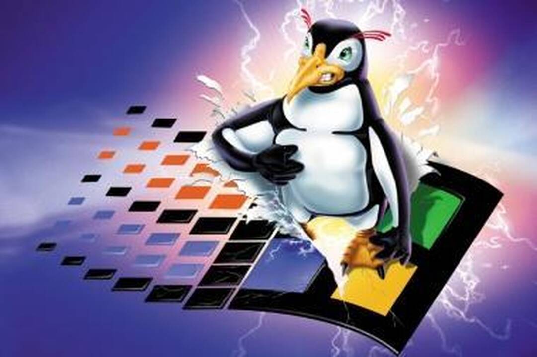 Visgi „Microsoft“ man patinka...