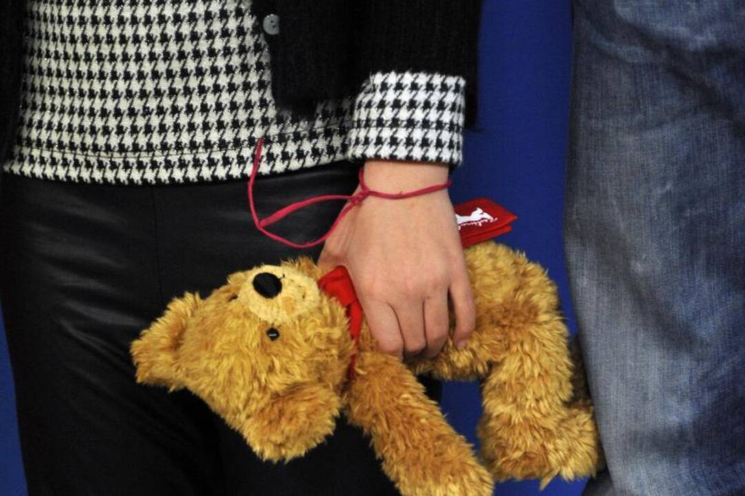 Švedijos lakūnė: baltarusiai meškiukų „desanto“ akcijoje nedalyvavo
