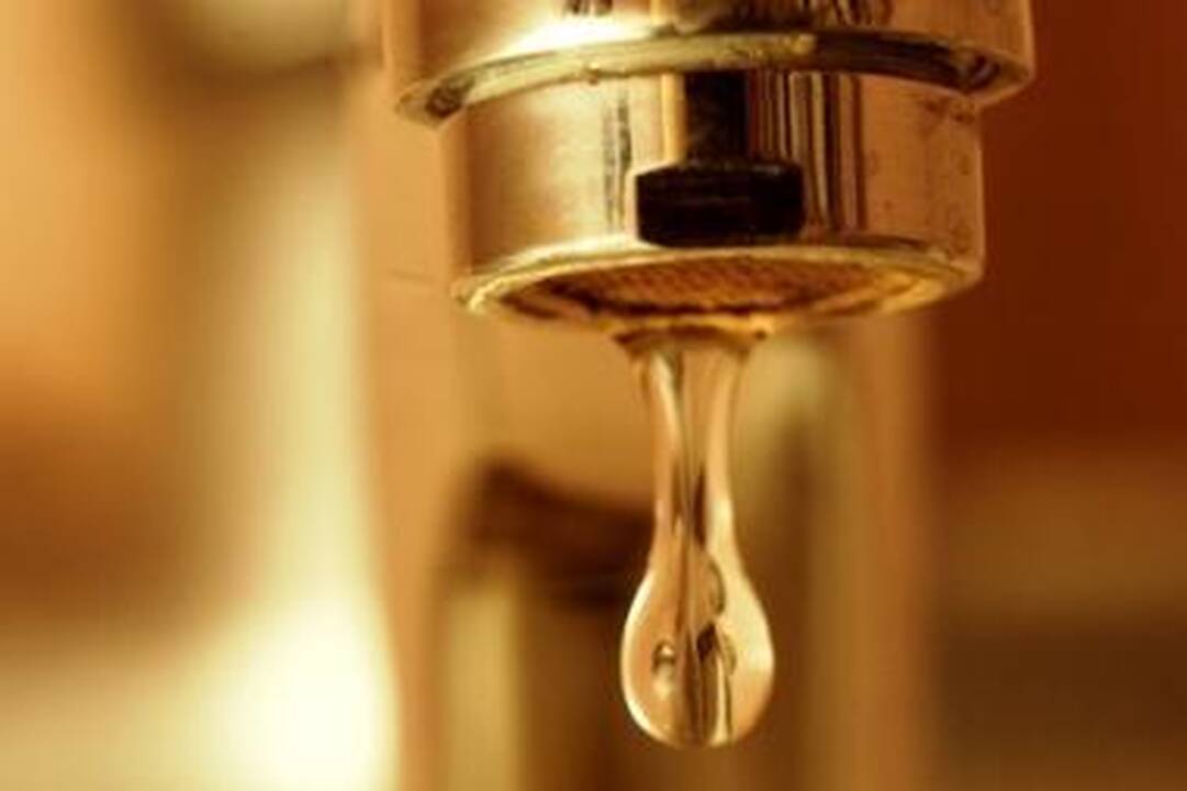 Neringoje vandenį norima branginti 26 proc.