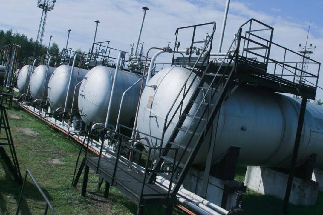 Prezidentė: Baltijos šalyse racionalu kalbėti apie tris SGD terminalus