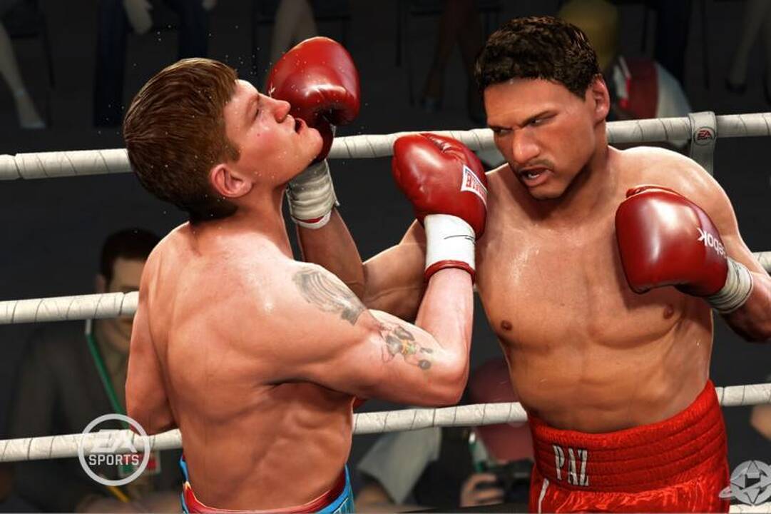Į Klaipėdą sugrįžta naktinis kovų menų turnyras „Fight night“