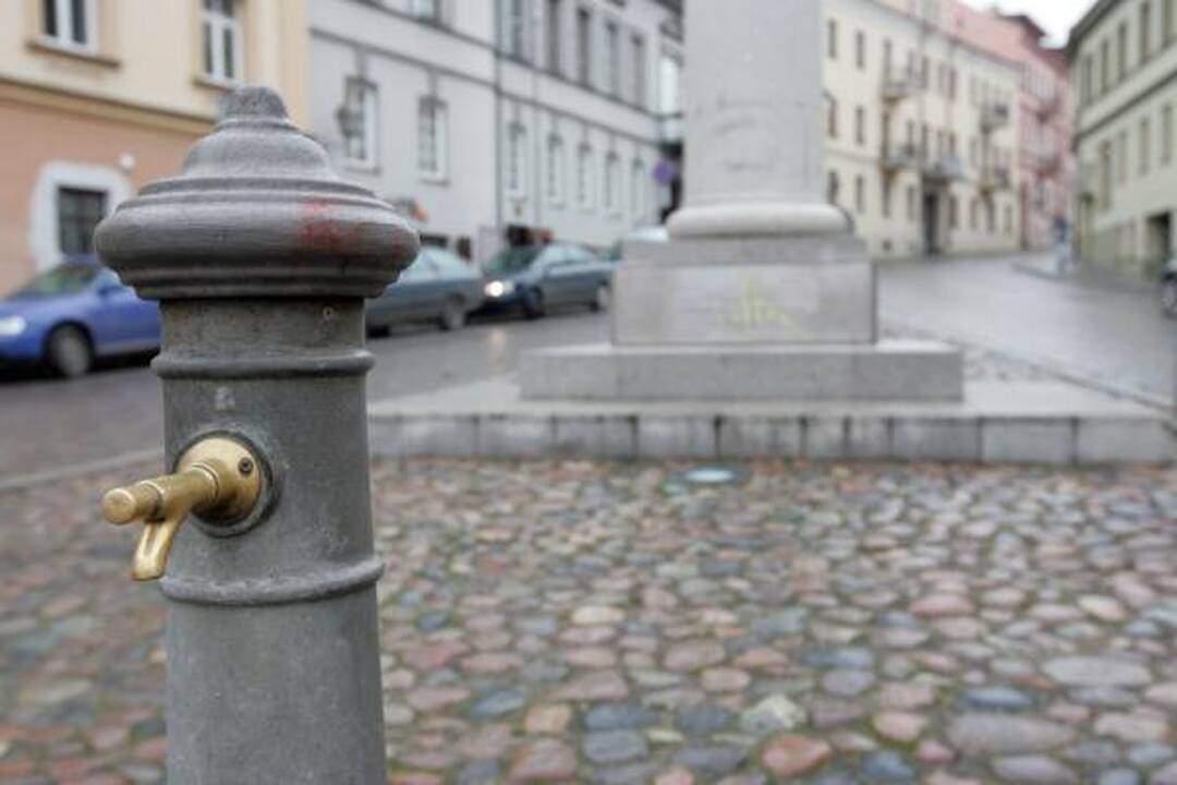 Vilniuje vandalai išniekino Užupio angelą, Mindaugo ir Gedimino paminklus