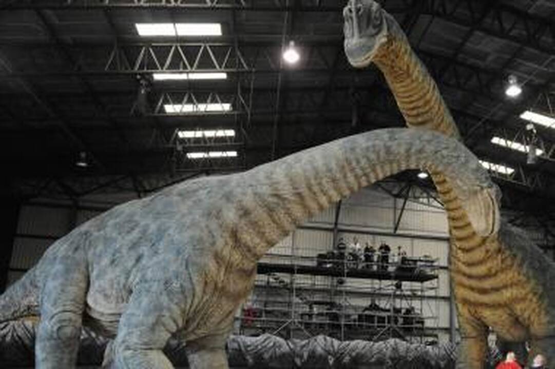 Dinozaurai buvo mažesni negu manyta iki šiol