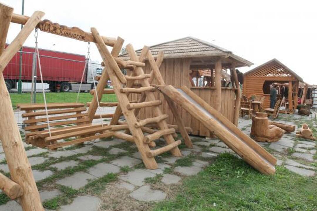 Ledo arenoje šurmuliuos ir paroda, ir mugė