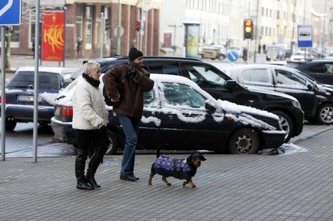 Pirmasis sniegas klaipėdiečiams rūpesčių nesukėlė