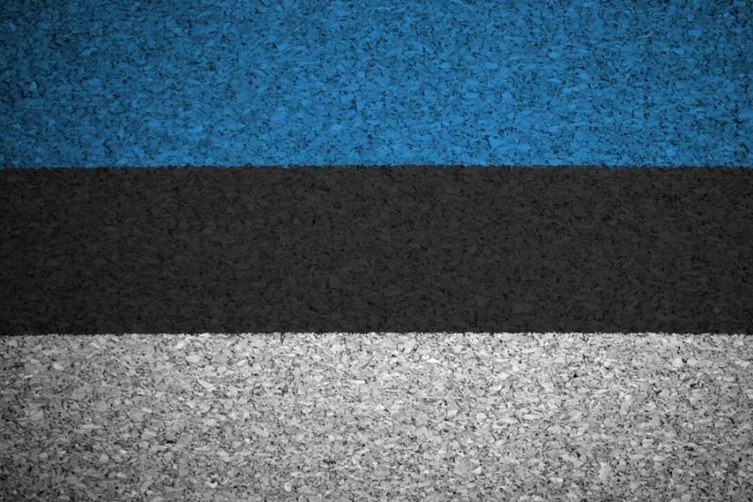 Estija ir Rusija po septynerių metų atnaujino derybas dėl sienų