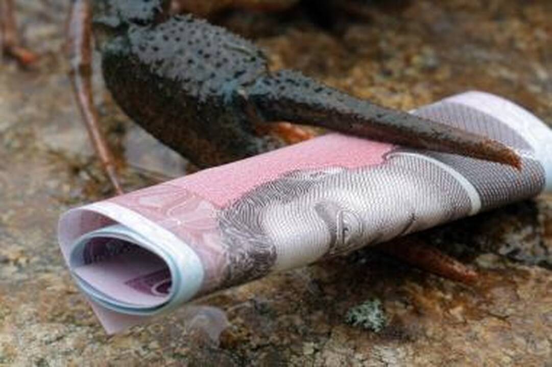 Profilaktiniams sveikatos patikrinimams – 28 mln. litų