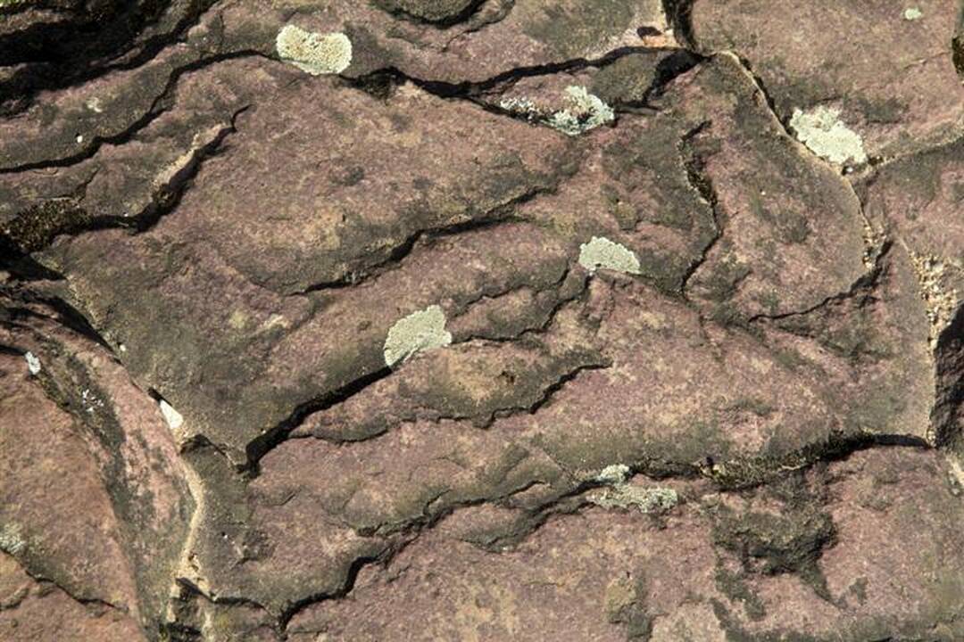 Rastas vienas seniausių Babelio bokšto piešinių