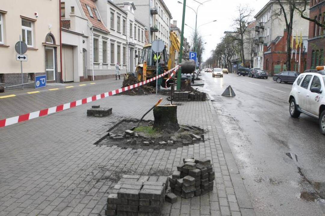 Liepų gatvę „palieka“ ilgametės miesto liepos