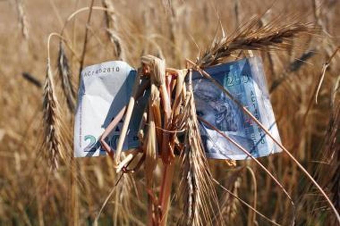 FNNT tirs, ar teisėtai Aplinkos ministerija skyrė lėšų serialo kūrimui