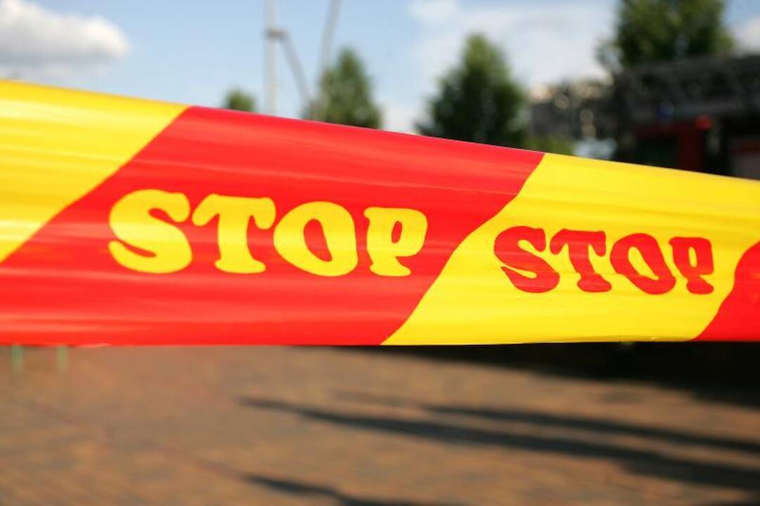 Lenkai pakraupę: įmonės savininkas darže užkasinėjo žmogieną