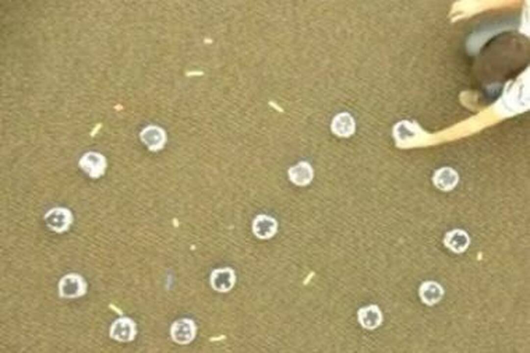 Robotai išmoko akimirksniu išsirikiuoti