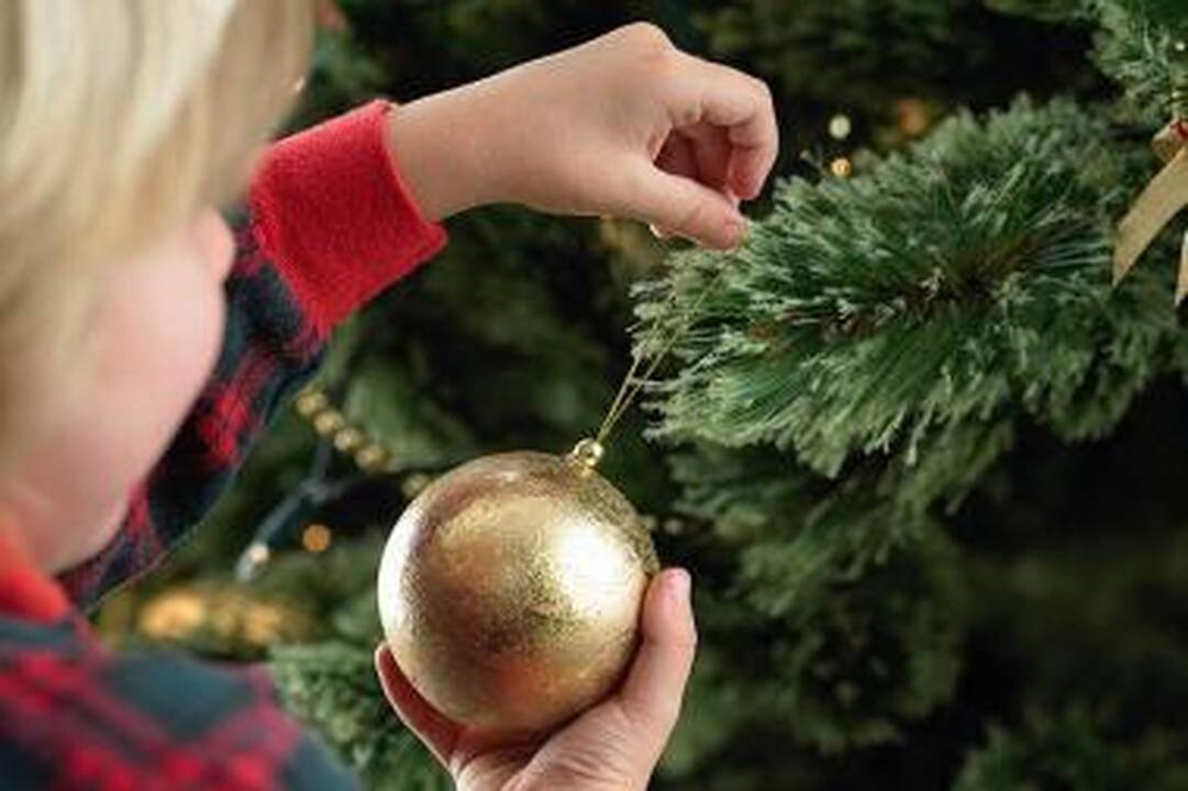 Savaitgalį Lietuvoje įžiebta 30 eglučių 