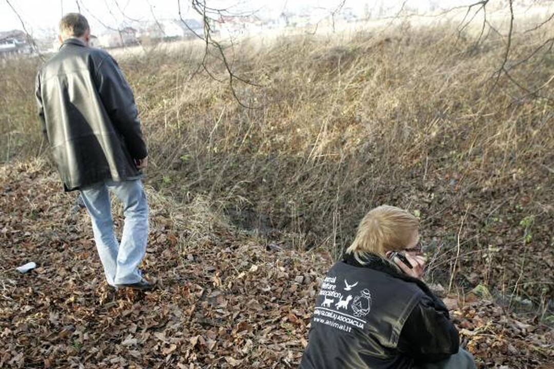 Kaune rasti keliolikos žiauriai išdarkytų šunų kūnai (dar papildyta)