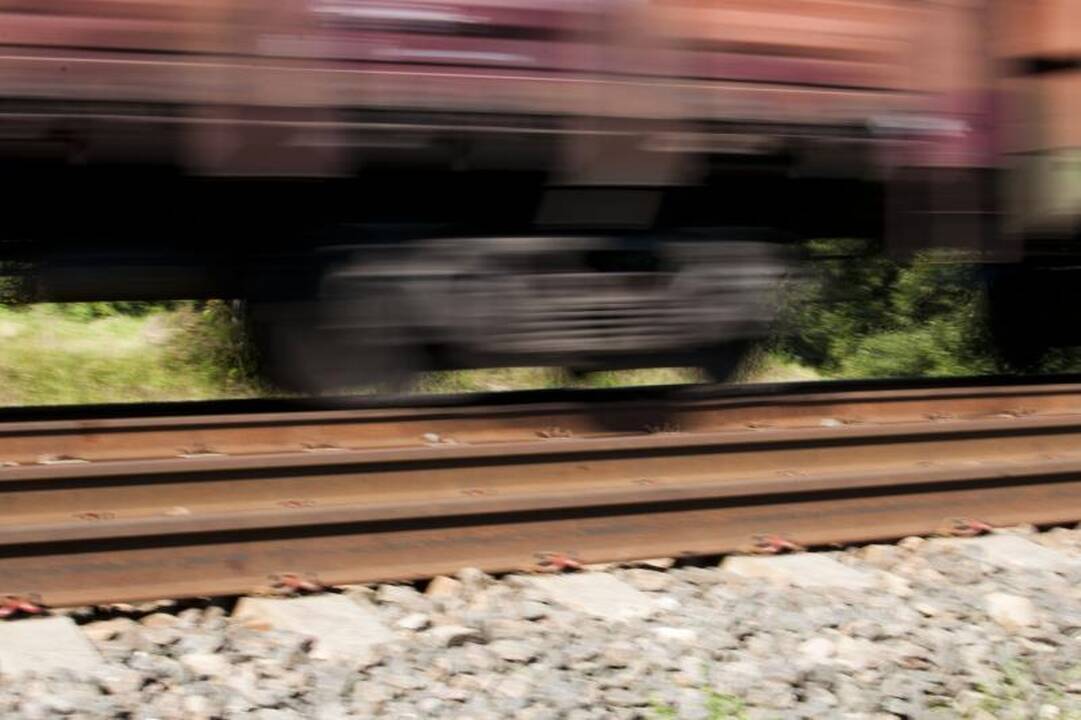 Kauno valdžia investuos 7,5 mln. litų į krovinių terminalo projektą 