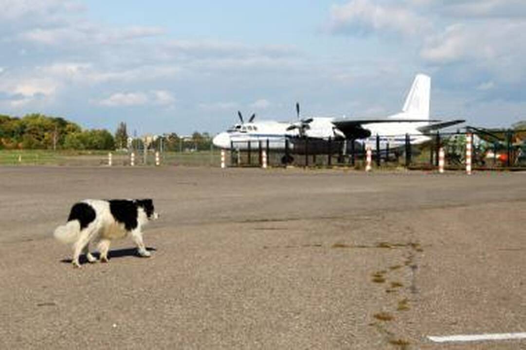 Aleksoto aerodromo direktorius tapo ir valdybos nariu