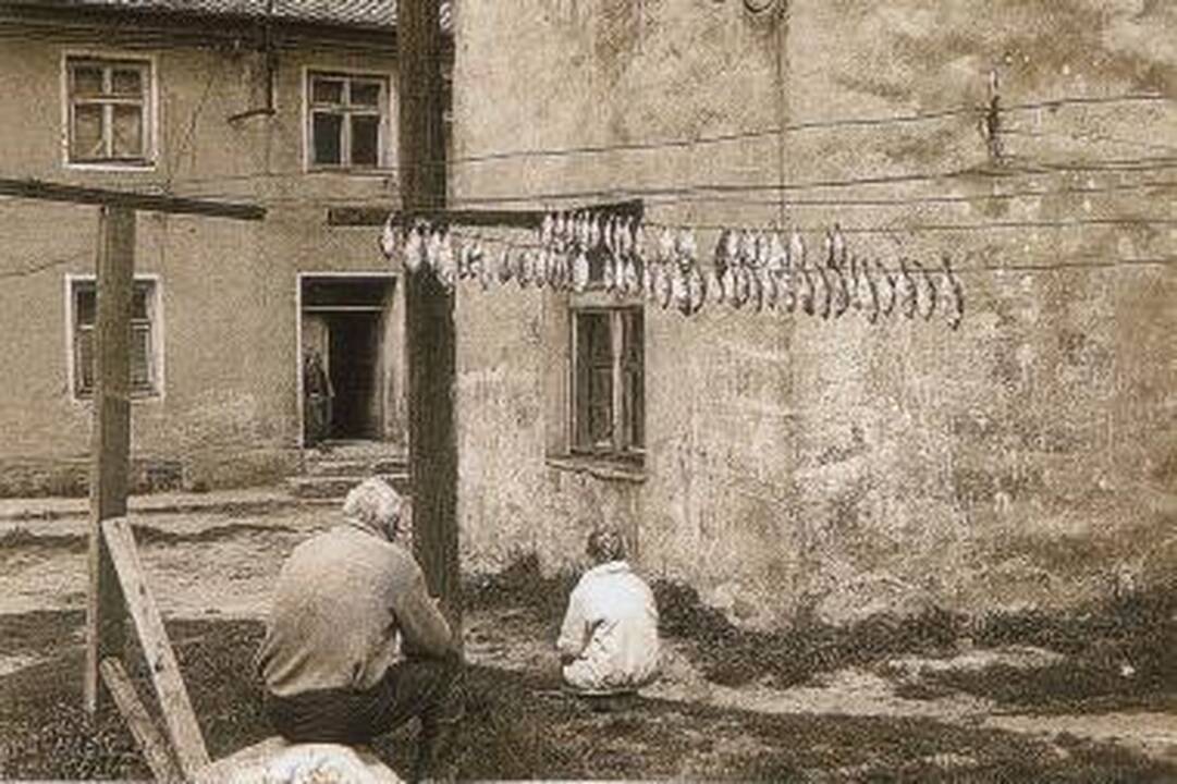 Fotoparoda nuves į „Kraštą prieblandoje“