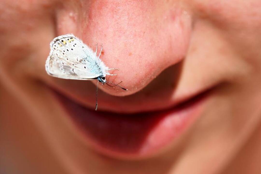 Žmonės kilo iš gyvūnų, turinčių šešis pojūčius