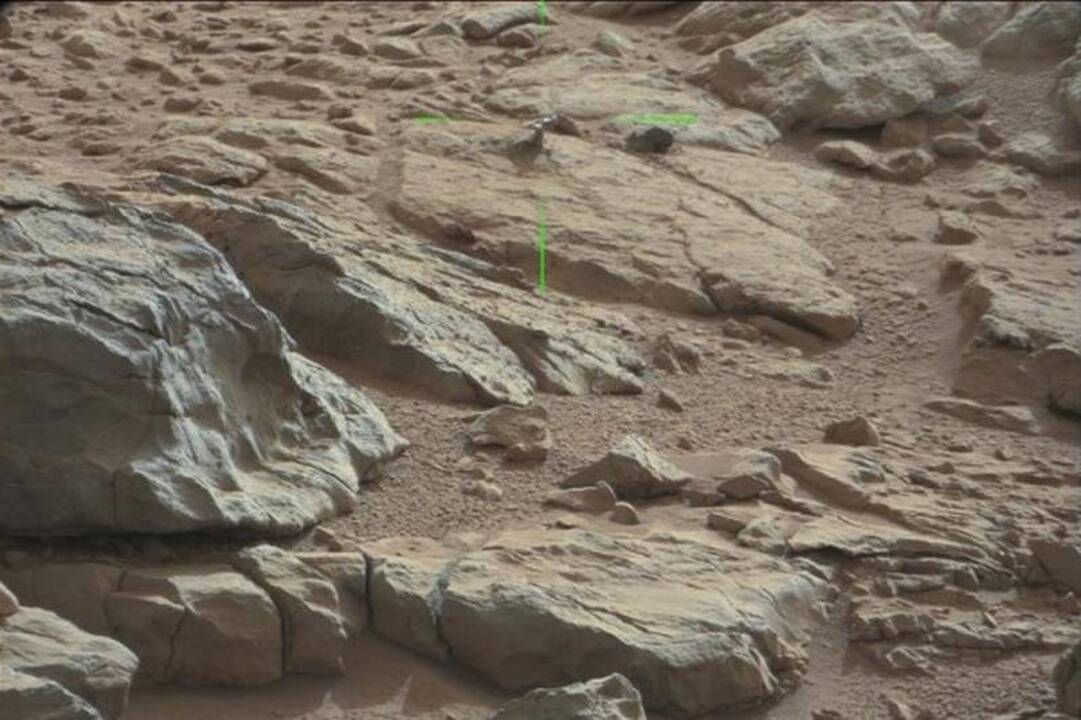 Marso „koralas“? „Curiosity“ nufotografavo dar vieną keistenybę (foto)