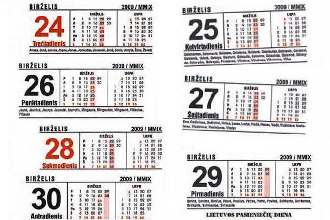 2013-uosius siūloma paskelbti 1863 metų sukilimo metais