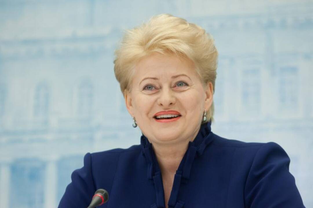 D.Grybauskaitės prezidentavime politikai pasigenda paaiškinimų