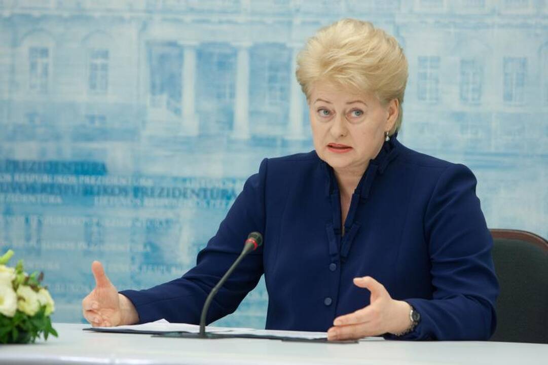 D.Grybauskaitės prezidentavime politikai pasigenda paaiškinimų