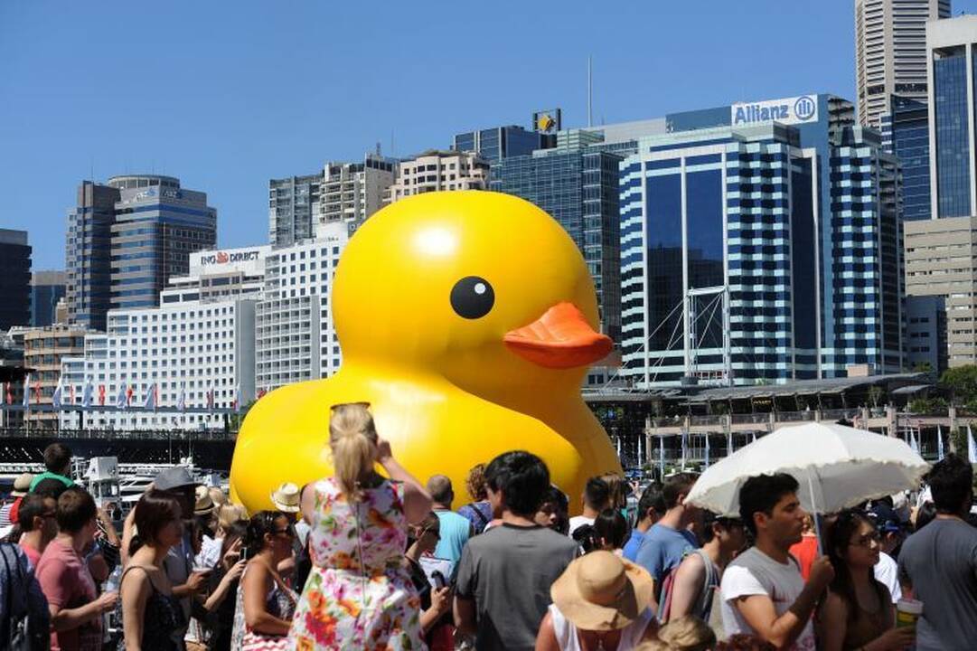 Sidnėjaus meno festivalį atidarė milžiniškas guminis ančiukas
