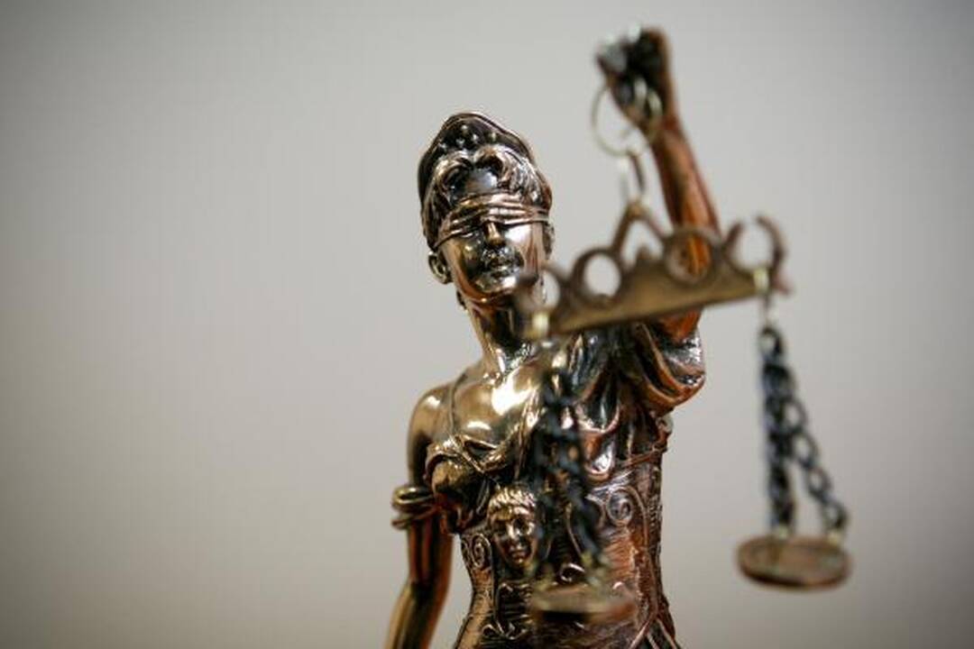 K. Marčiulionio byla: LAT sustabdė apeliacinio teismo nutarties vykdymą