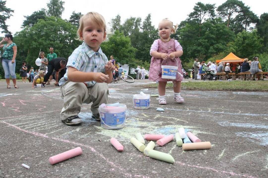 Visuomenininkai sukilo prieš „Poilsio parko“ likvidavimą