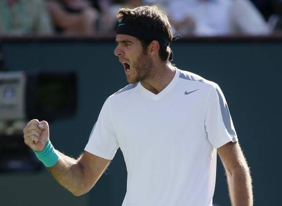 Argentinietis N.Džokovičiui užkirto kelią į ATP serijos turnyro finalą