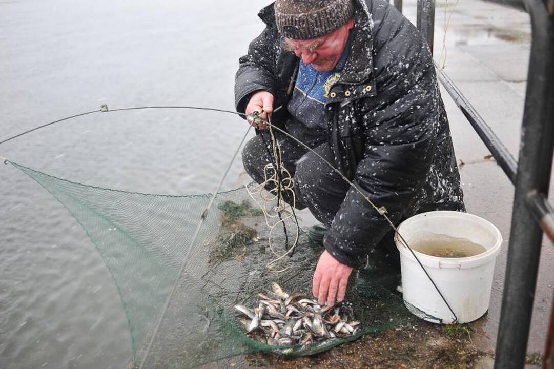 Aplinkosaugininkai savaitgalį tikrins žvejų leidimus