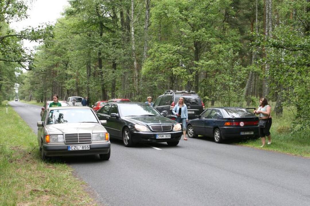 Kuršių nerijoje stebėti lankytojų srautai