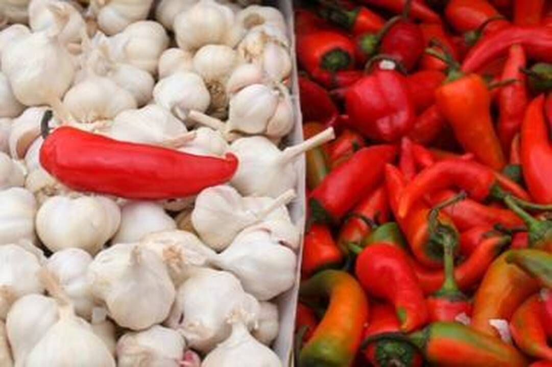 Skausmą malšinti padės aitriosios paprikos