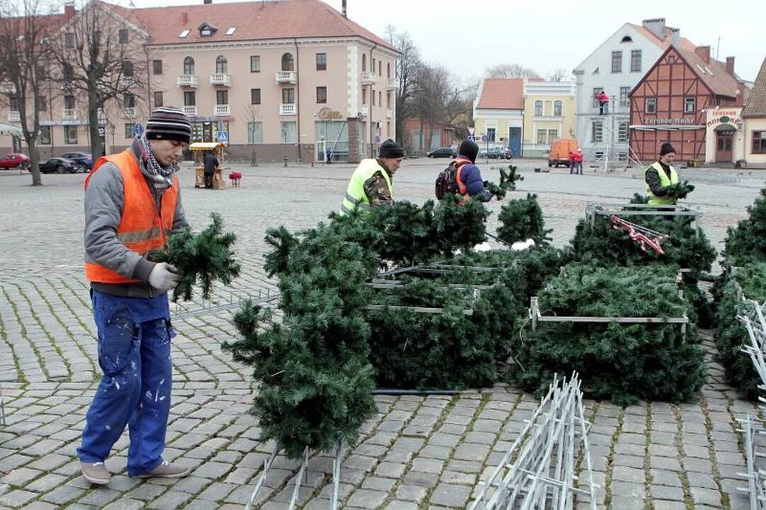 Į Klaipėdos Teatro aikštę atvežta šventinė eglė   