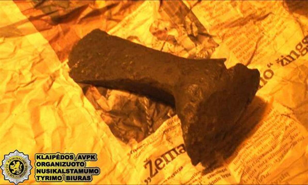 Klaipėdoje sulaikytas įtariamasis juodąja archeologija