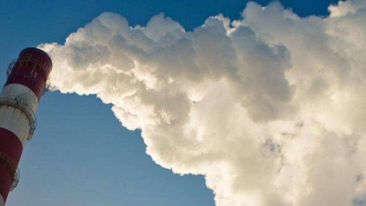 Pinga taršos leidimai: valstybės pajamos iš jų gali sumažėti perpus