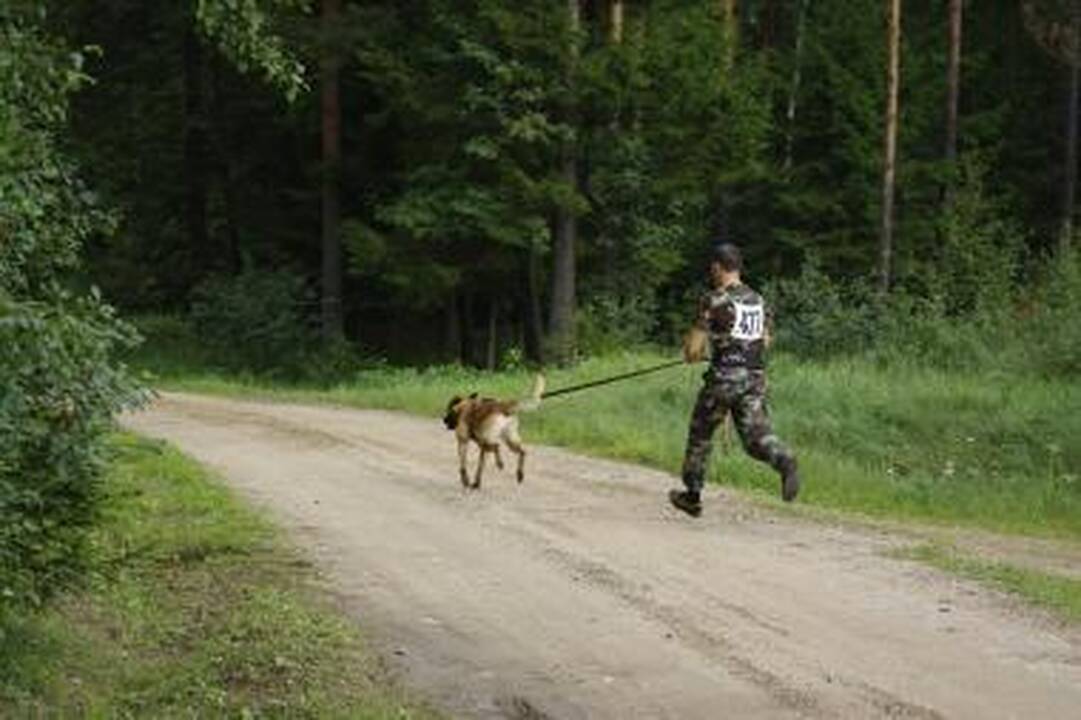 Vilniuje išprievartauta į mokyklą einanti mergaitė (dar papildyta)